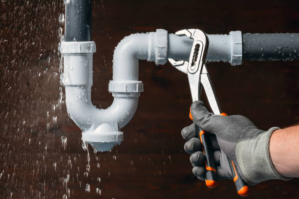 Professional Plumbing technician working in Hayfield, MN